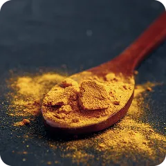 ESTRATTO DI CURCUMA